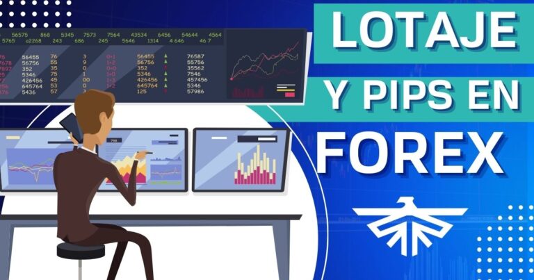 lotaje y pips en forex
