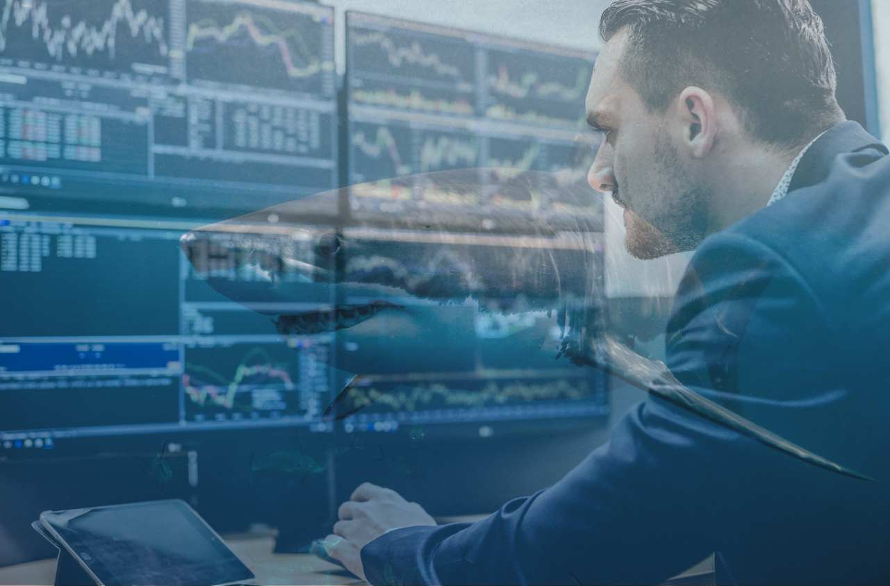 tiburon trading